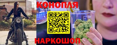 прущие грибы Донской